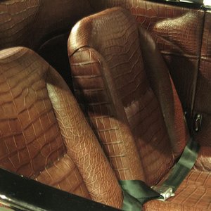 'Interior Crocodile Alligator'の画像