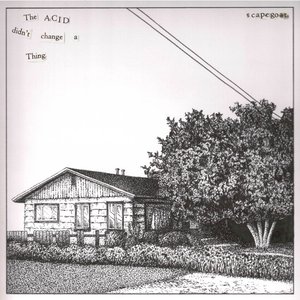 The Acid didn't change a Thing.