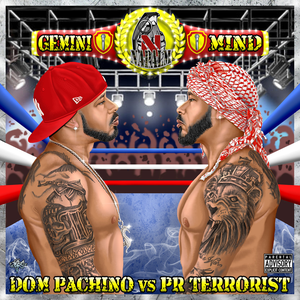 GEMINI MIND cover