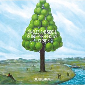 SINGLES A/B SIDE & RETRO-PERSPECTIVE 1973-2018