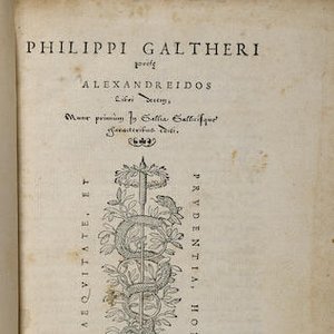 Gautier de Chatillon 的头像