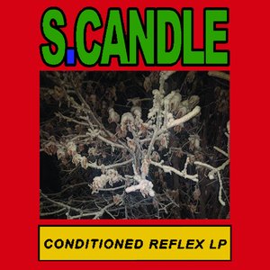 Conditioned Reflex