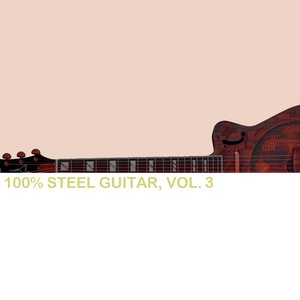 100% Steel Guitar, Vol. 3