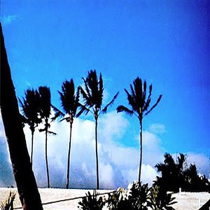 Beautiful Holiday（休日の過ごし方）