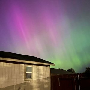 Aurora