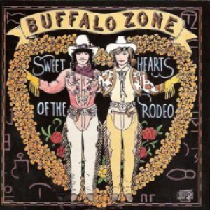 Buffalo Zone cover
