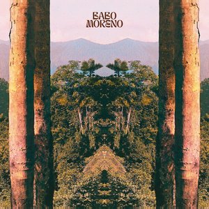 Bicho Preguiça (The Sloth)