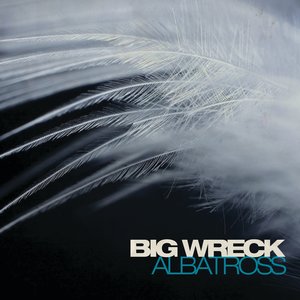 Albatross - Single