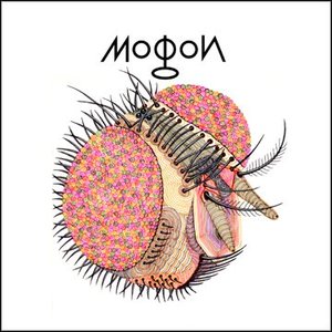 Mogon 的头像