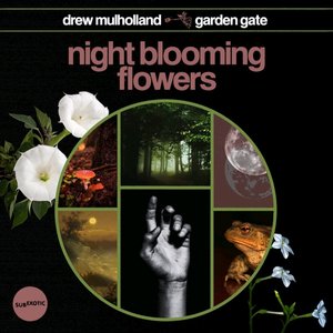 Night Blooming Flowers
