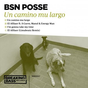 Un camino mu largo