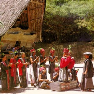 Tapanuli Ethnic Beat 的头像