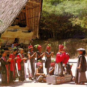 Tapanuli Ethnic Beat için avatar