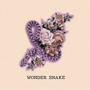 WONDER SNAKE