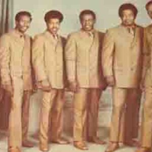 The Sensational Cymbals 的头像