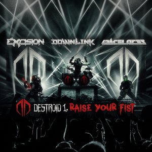 Raise Your Fist