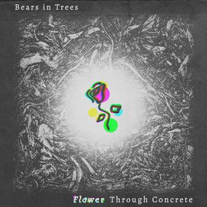 Flower Through Concrete - Single