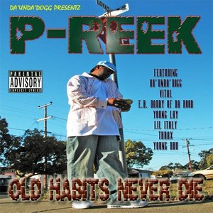 Avatar for P-Reek
