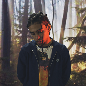 Robb Bank$ photo provided by Last.fm