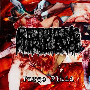 Purge Fluid