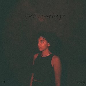 I Wish I Didn't Love You