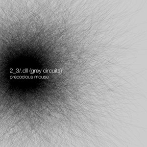 2_3/.dll (grey circuits)