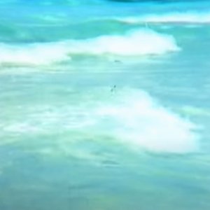 submerge沈める
