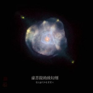 虚菩提的致幻剂 Hallucinogen of Imagined Bodhi