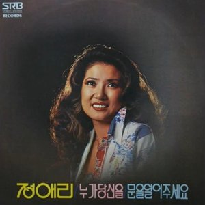 “누가 당신을 / 문을 열어주세요”的封面