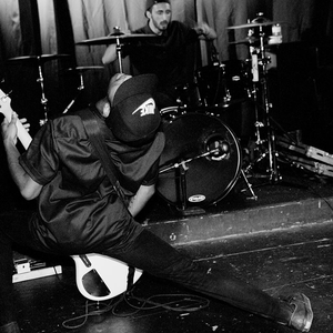 Animal photo provided by Last.fm