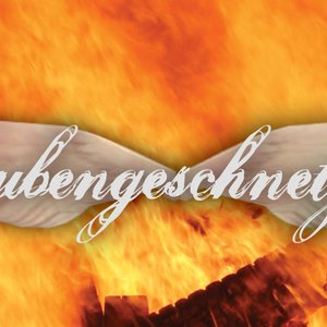 SML&FPL aka Taubengeschnetzeltes 的头像