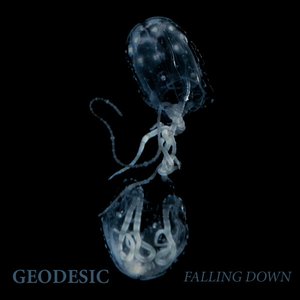 Falling Down