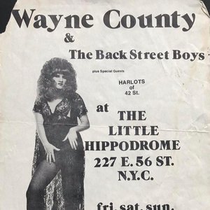 Image for 'Wayne County and the Back Street Boys'