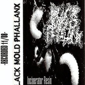 Incinerator Resin
