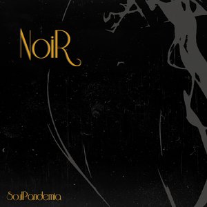 Image for 'Noir'