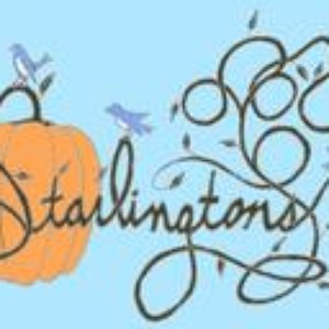 Avatar for The Starlingtons