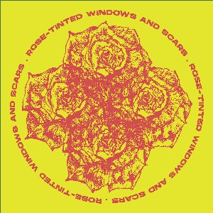 Rose-Tinted Windows and Scars
