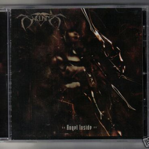 Angel Inside cover