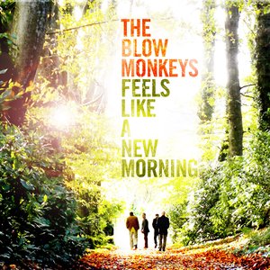 Image for 'Feels Like A New Morning'