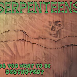 Do You Want To Be Destroyed?
