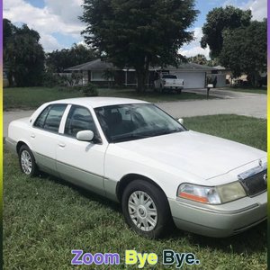 Zoom Bye Bye (REAL JUNGLE) - Single