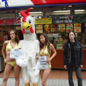 Merzbow 的头像