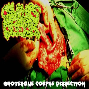 Grotesque Corpse Dissection