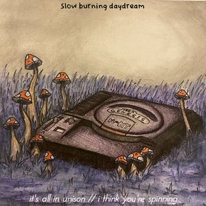 It's All in Unison // I Think You're Spinning - Single