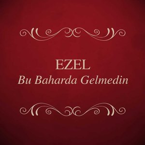 Bu Baharda Gelmedin