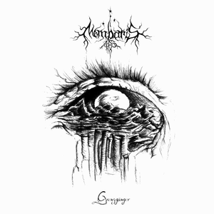 Grenzgänger cover