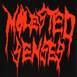 Avatar for Molested Senses