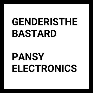 PANSY ELECTRONICS