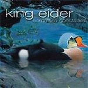 Аватар для King Eider