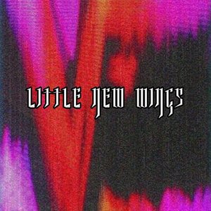 Little New Wings